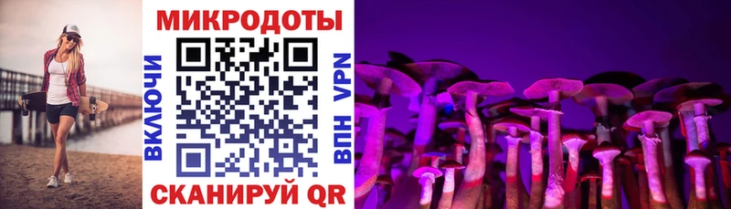 Галлюциногенные грибы Psilocybine cubensis  Микунь 